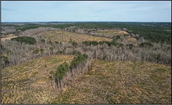184.3 Acres in Lafayette County in Paris MS featured image