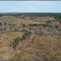 184.3 Acres in Lafayette County in Paris MS