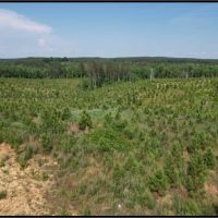 184.3 Acres in Lafayette County in Paris MS images 2