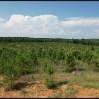 184.3 Acres in Lafayette County in Paris MS images 3