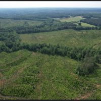 184.3 Acres in Lafayette County in Paris MS images 5