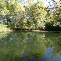 20017 N Dunlap Road images 2