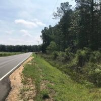 50 Acres Wooded Land for Sale Forrest County MS images 2