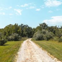Sugar Creek 22 images 4