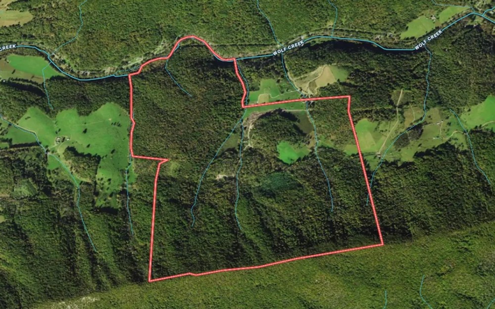 590 Acres of Residential Farm and Hunting Land with Mountain Views and Creek Frontage For Sale in Bland County VA featured image