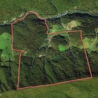 590 Acres of Residential Farm and Hunting Land with Mountain Views and Creek Frontage For Sale in Bland County VA