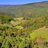 590 Acres of Residential Farm and Hunting Land with Mountain Views and Creek Frontage For Sale in Bland County VA images 3