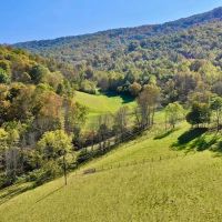 590 Acres of Residential Farm and Hunting Land with Mountain Views and Creek Frontage For Sale in Bland County VA images 4