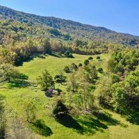 590 Acres of Residential Farm and Hunting Land with Mountain Views and Creek Frontage For Sale in Bland County VA images 5