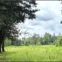 68 Acres in Greene County in Leakesville MS
