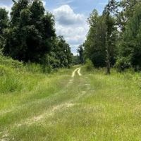 68 Acres in Greene County in Leakesville MS images 4