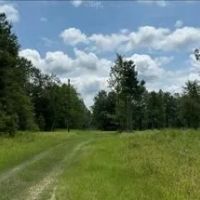 68 Acres in Greene County in Leakesville MS images 5