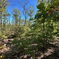 Elk Creek Acres-Tract 1B