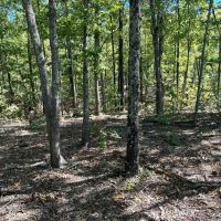Elk Creek Acres-Tract 1B images 3