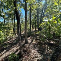 Elk Creek Acres-Tract 1B images 4