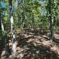 Elk Creek Acres-Tract 1B images 5