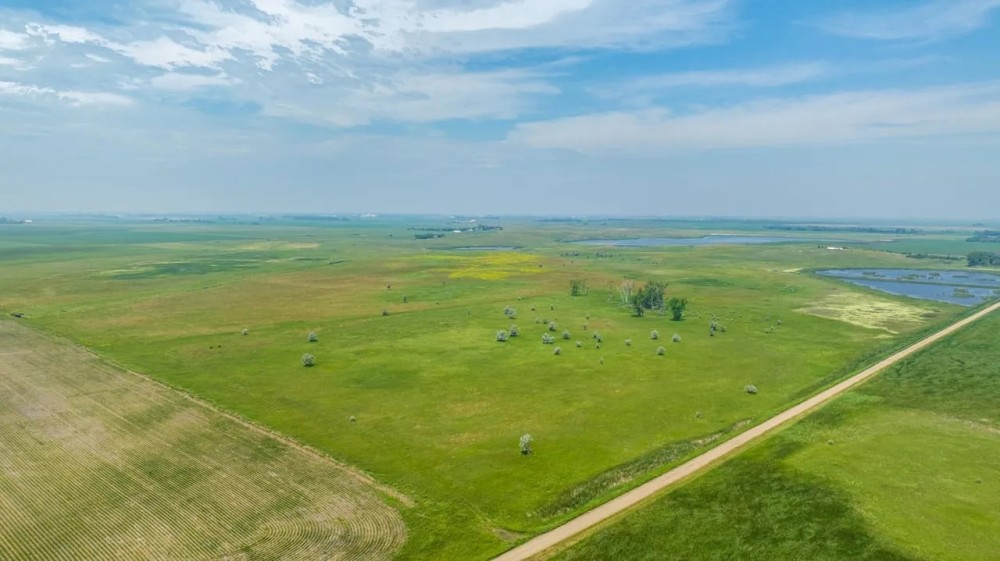 Sargent county 160 acres featured image