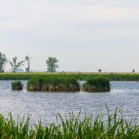 Sargent county 160 acres images 2