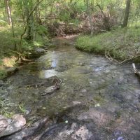 95 - Turkey Valley