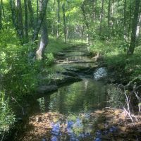 95 - Turkey Valley images 2