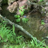 95 - Turkey Valley images 3
