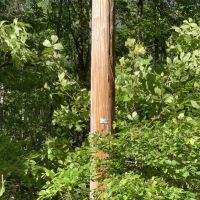 95 - Turkey Valley images 4