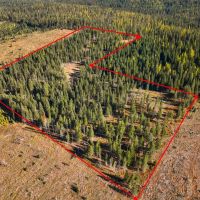 Hirst Spring Timber Tract images 1