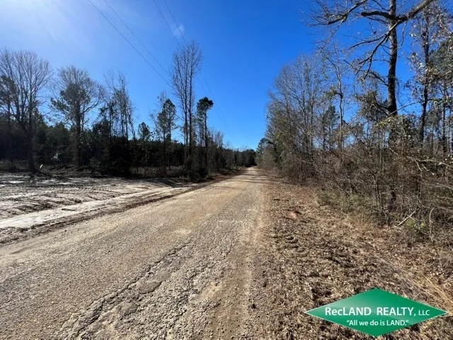 11.69 ac - Wooded Tract for Home Site Hunting featured image