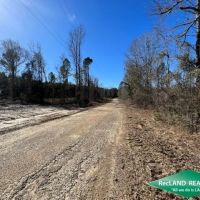 11.69 ac - Wooded Tract for Home Site Hunting