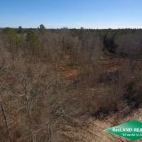 11.69 ac - Wooded Tract for Home Site Hunting images 2