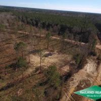 11.69 ac - Wooded Tract for Home Site Hunting images 4