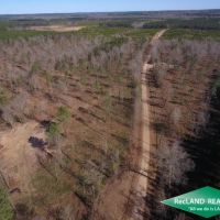11.69 ac - Wooded Tract for Home Site Hunting images 5