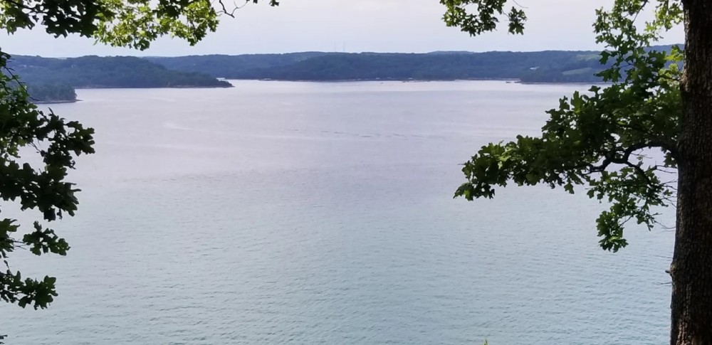 Beaver Lake 76 acres Land w Waterfront Private Boat Dock featured image