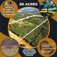 80 Acres by Pomme De Terre Lake