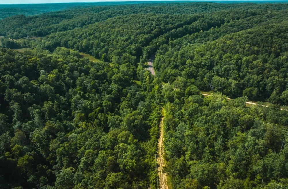 Washington Woodlands featured image