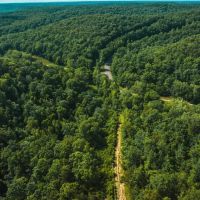 Washington Woodlands