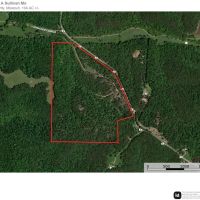 Washington Woodlands images 2