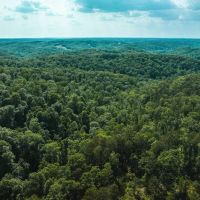 Washington Woodlands images 4