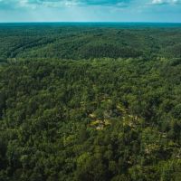 Washington Woodlands images 5