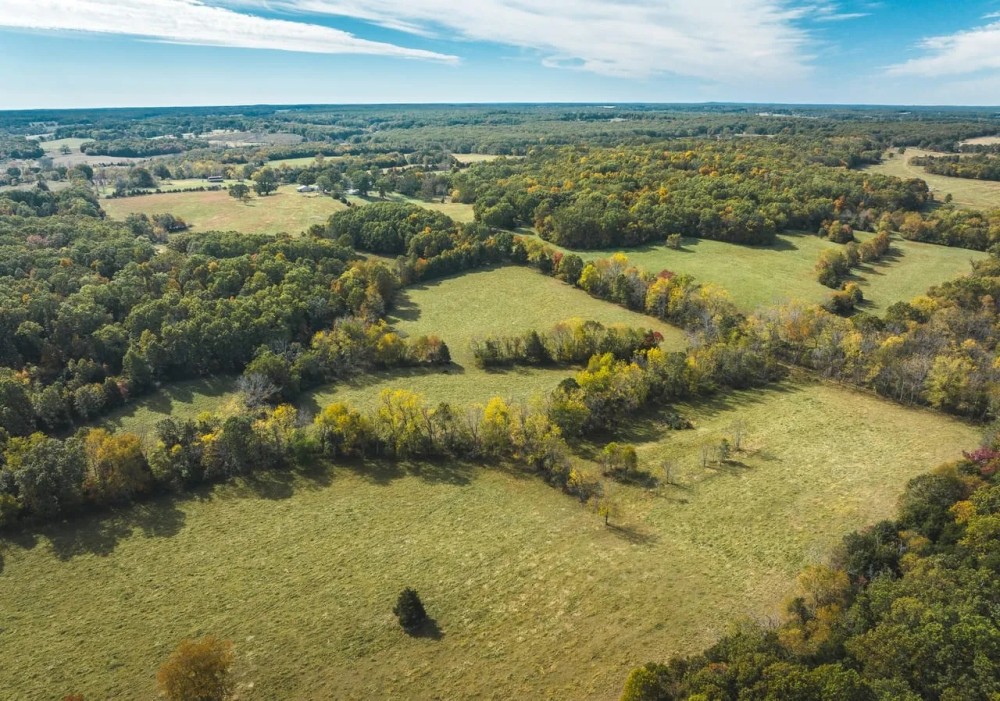 Spring Branch South 45 featured image
