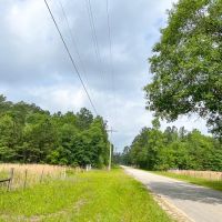 25 Acres FM 2937 C-1 Silsbee Stake images 4