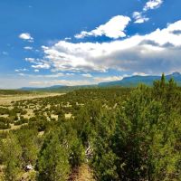Kickin Kunzite Road Acreage images 3