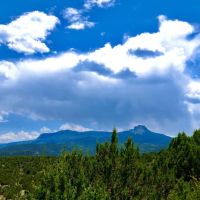 Kickin Kunzite Road Acreage images 4