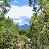Kickin Kunzite Road Acreage images 5