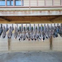 1445 Acres 5 Star Hunting Club in Carroll County in Carrollton MS