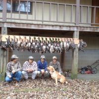 1445 Acres 5 Star Hunting Club in Carroll County in Carrollton MS images 2