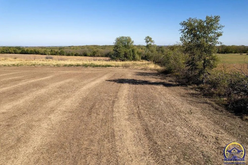 40 Acres m l featured image