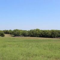 40 Acres m l images 3