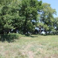 40 Acres m l images 5