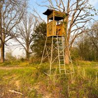 Gobbler Ridge images 4